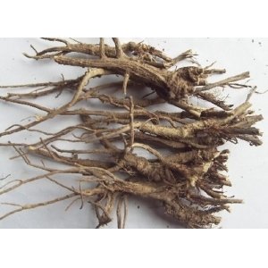 Radix bupleuri root 